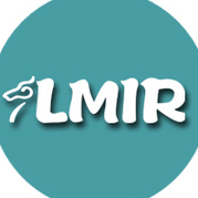 LMIR System