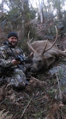 Tassie Shooter 1st Stag